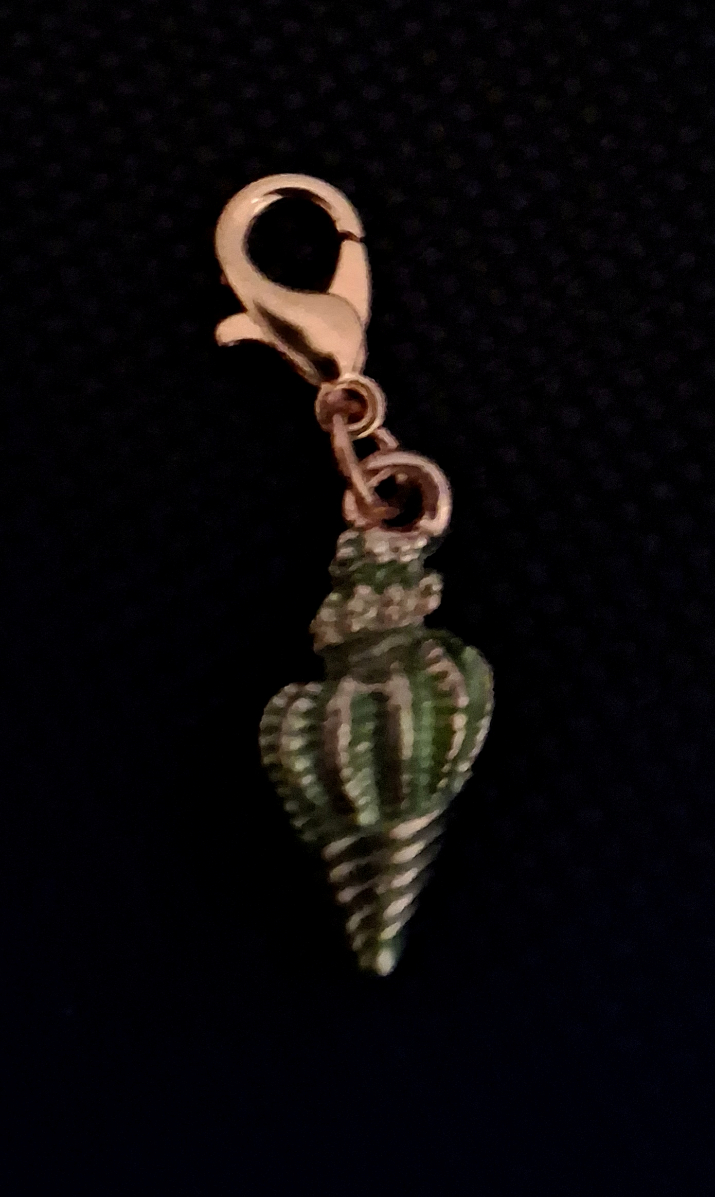 F – Green Shell Charm