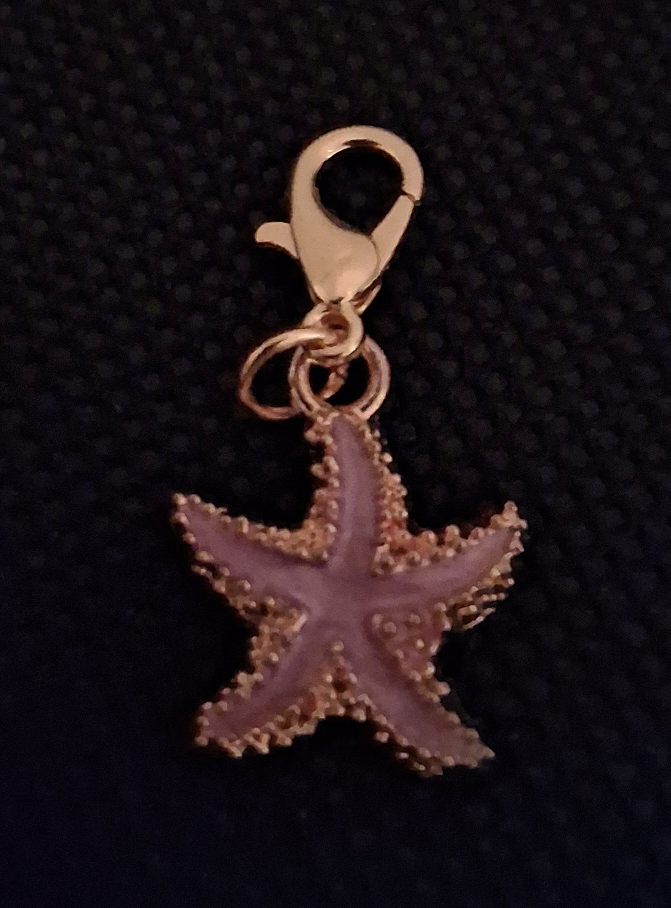 F – Pink Starfish Charm