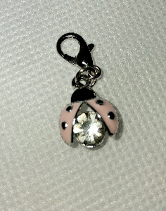 F - Pink Lady Bug Charm