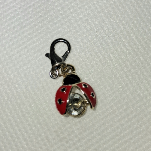 F - Red Lady bug Charm